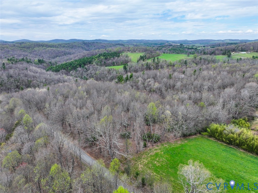 311 Dan River Road Meadows Of Dan, VA 24120 - Photo 3 of 50 a view of a lush green field