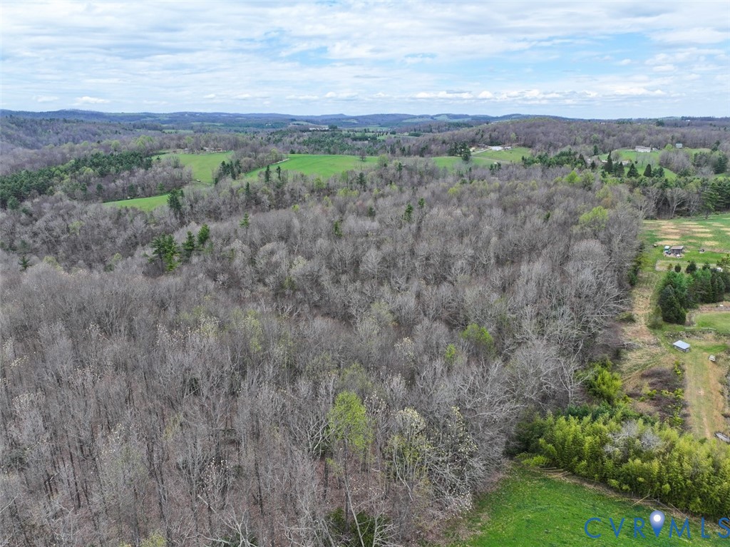 311 Dan River Road Meadows Of Dan, VA 24120 - Photo 4 of 50 a view of a field with a lush green forest