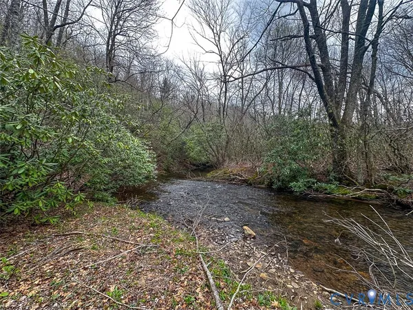 a view of a forest with trees