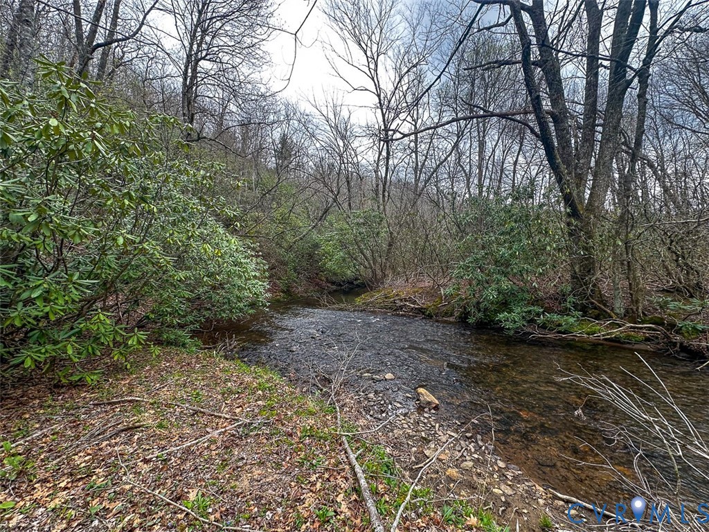 311 Dan River Road Meadows Of Dan, VA 24120 - Photo 5 of 50 a view of a forest with trees