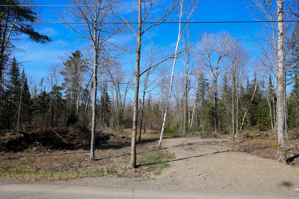 Tbd Sawyer Road Levant, ME 04456 - Photo 9 of 9 03