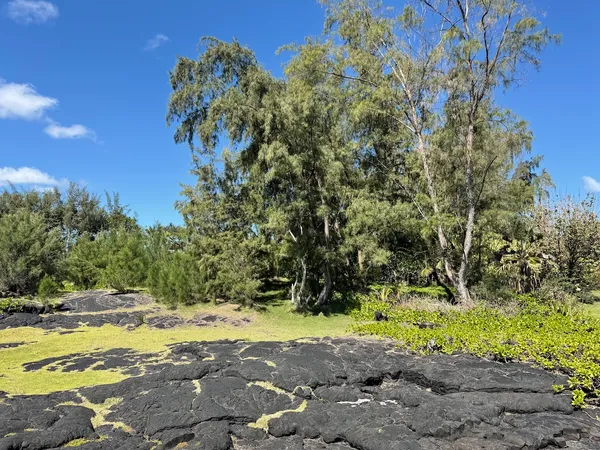 $425,000 | 15-833 Lot 473 Paradise Ala Kai, Keaau, HI 96749