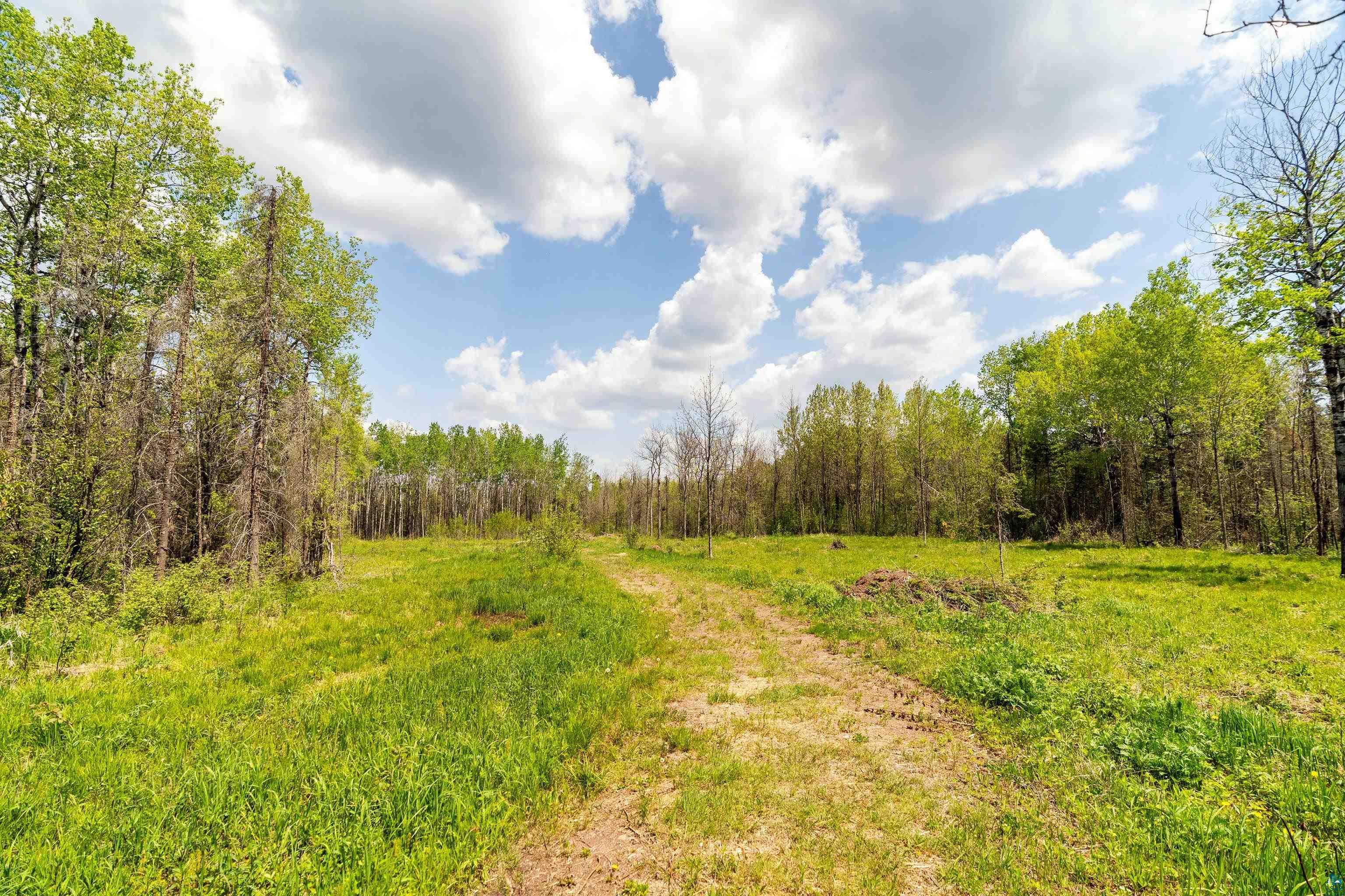 2597 Lauren Road Duluth, MN 55804 - Photo 11 of 26