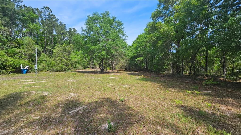 61 Coffee County Road Hortense, GA 31543 - Photo 1 of 1