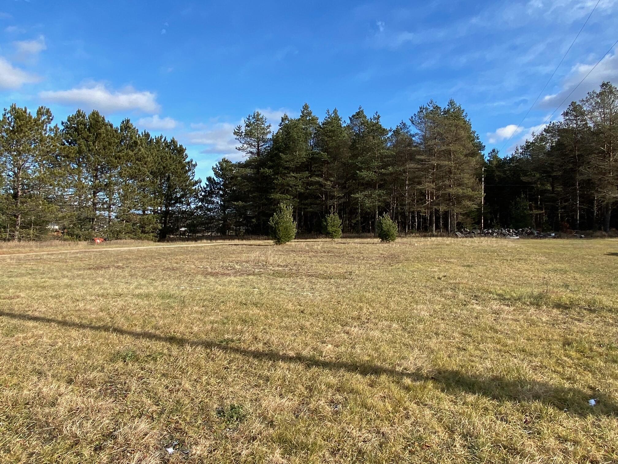 539 East 40 1/2 Road Cadillac, MI 49601 - Photo 26 of 28 yard