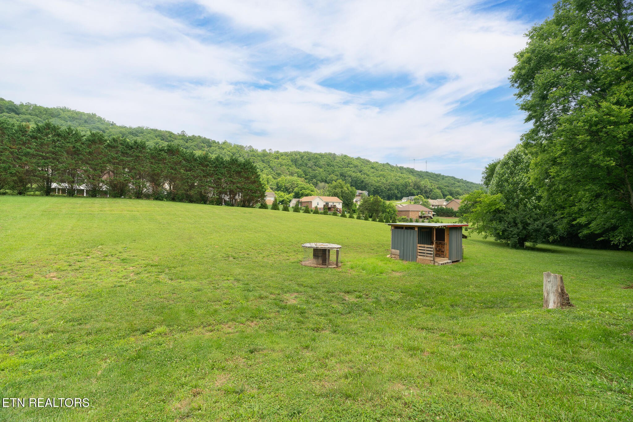 2059 Creswell Road Seymour, TN 37865 - Photo 28 of 36 untitled-28