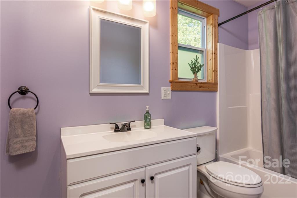 29 Davidson Road Asheville, NC 28803 - Photo 23 of 37 a bathroom with a sink toilet and mirror