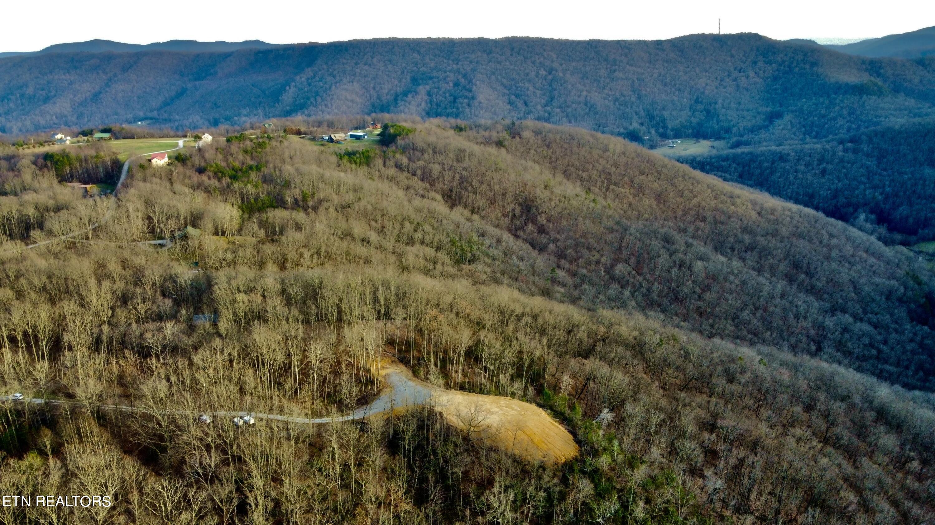 Lot # Racoon Lane Pioneer, TN 37847 - Photo 6 of 10 RACOON 6