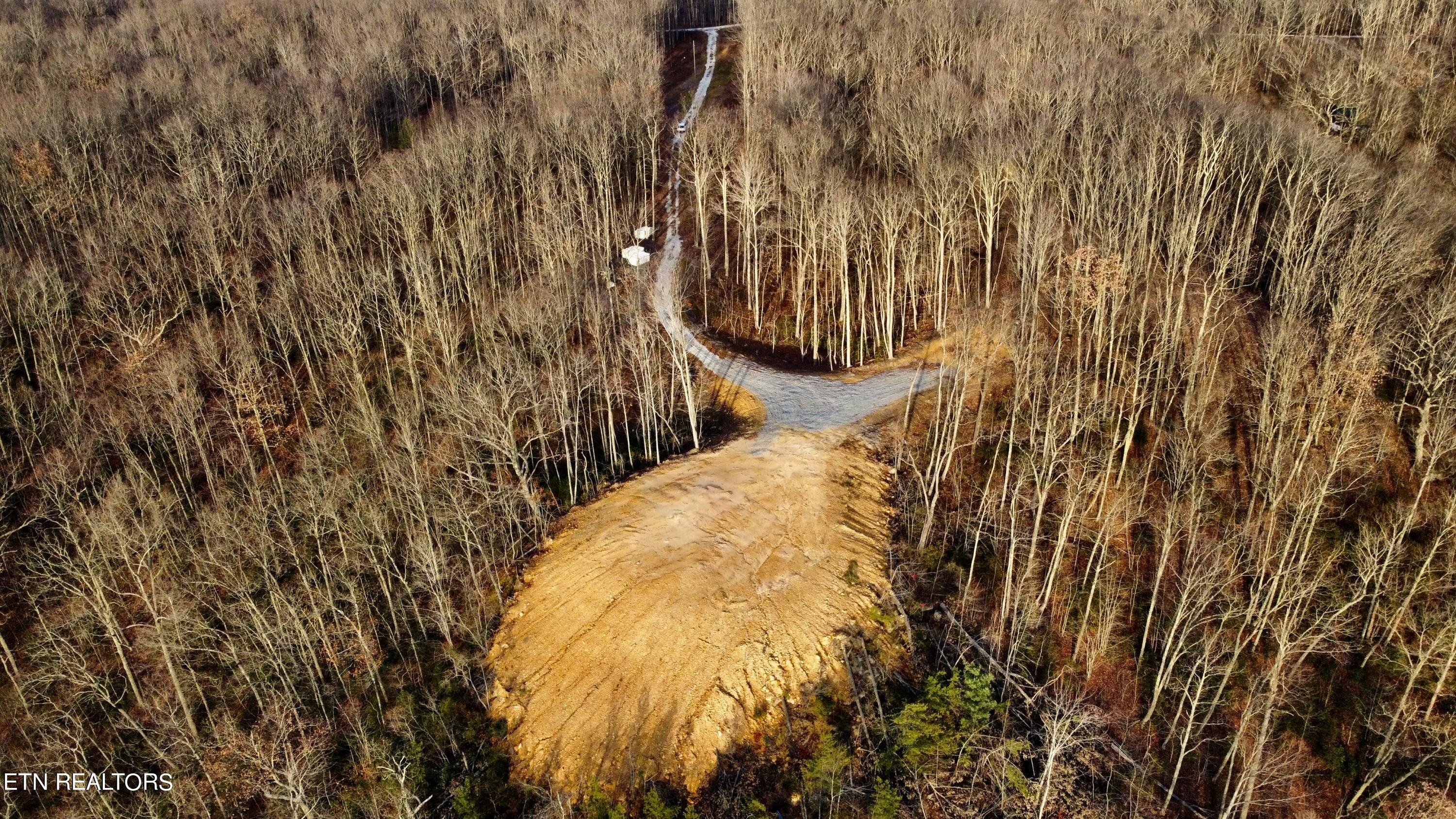 Lot # Racoon Lane Pioneer, TN 37847 - Photo 7 of 10 RACOON 7