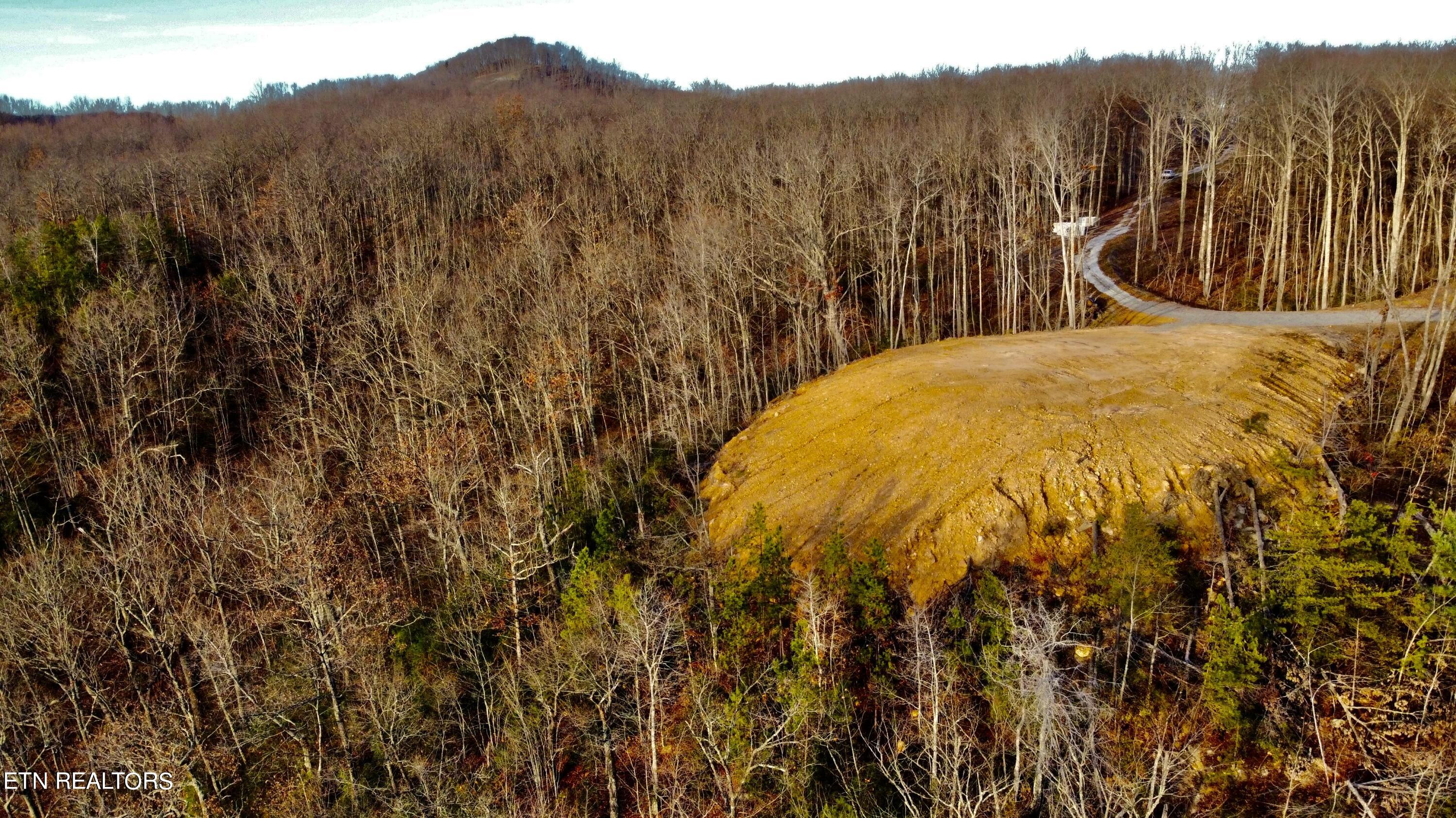 Lot # Racoon Lane Pioneer, TN 37847 - Photo 8 of 10 RACOON 8