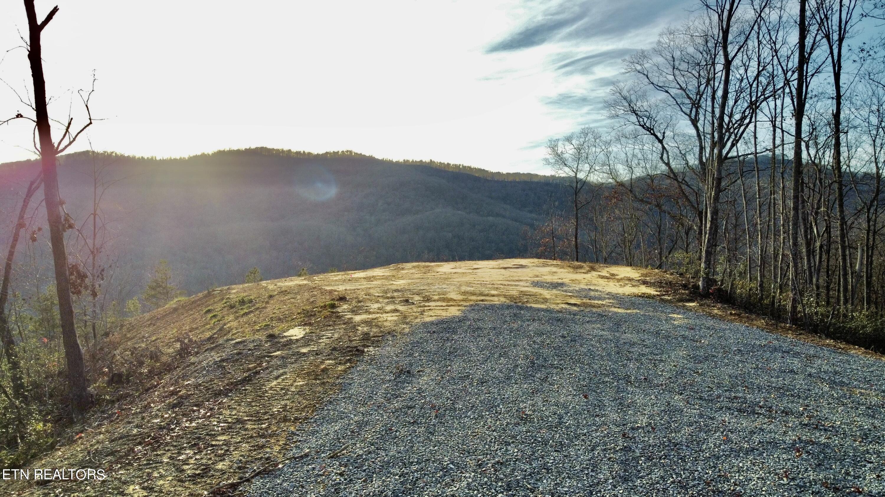 Lot # Racoon Lane Pioneer, TN 37847 - Photo 9 of 10 RACOON 10