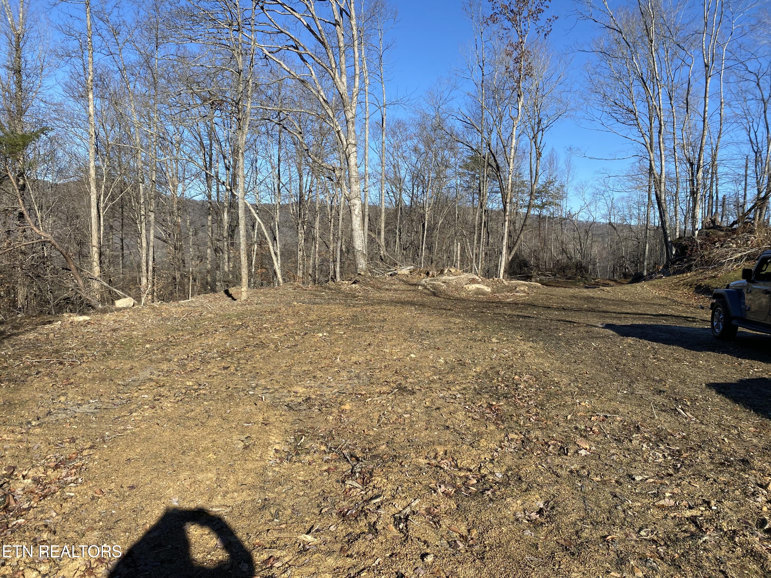 Lot # Racoon Lane Pioneer, TN 37847 - Photo 10 of 10 RACOON 11