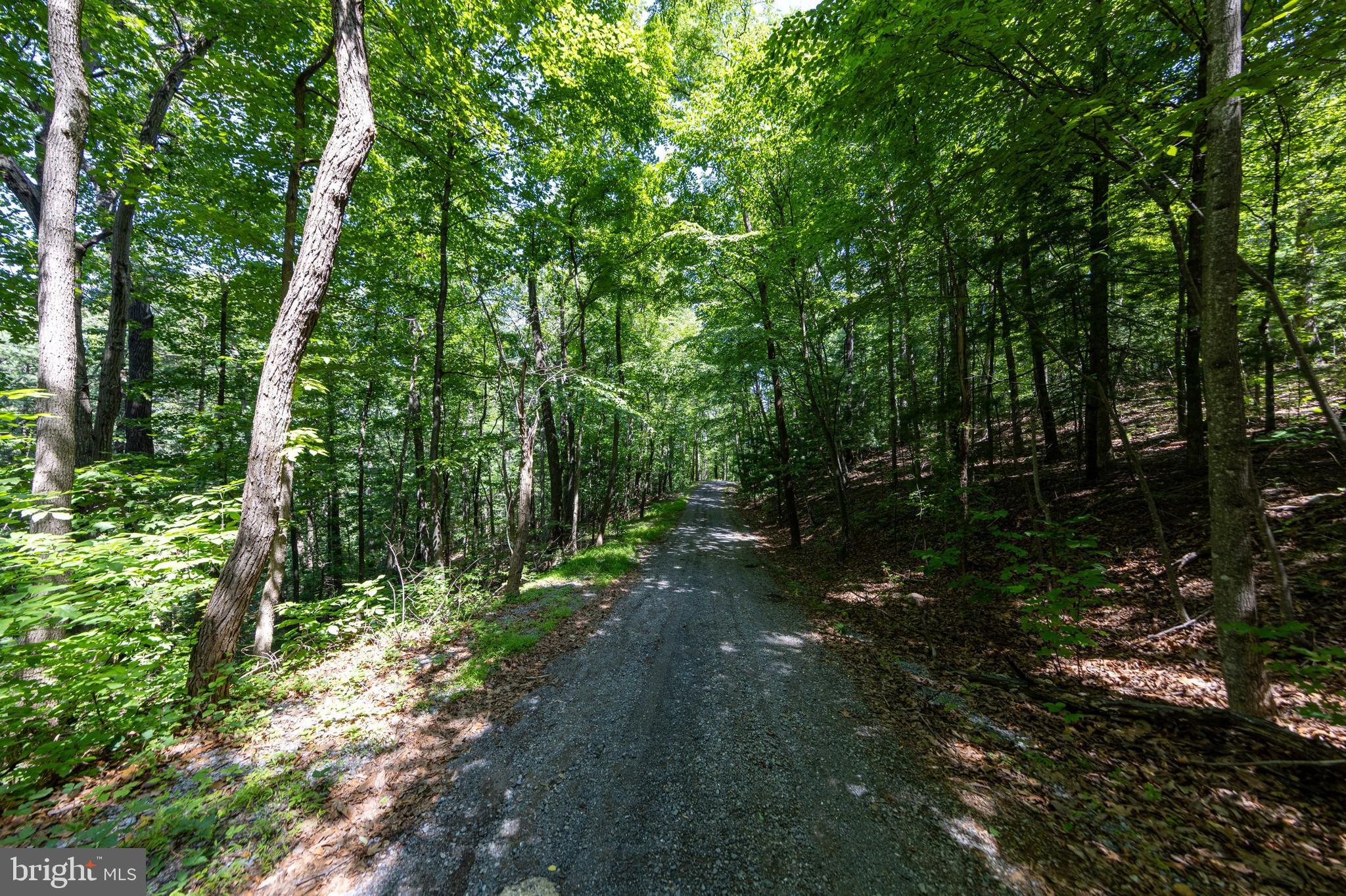 0 Helms Road Stanley, VA 22851 - Photo 25 of 50