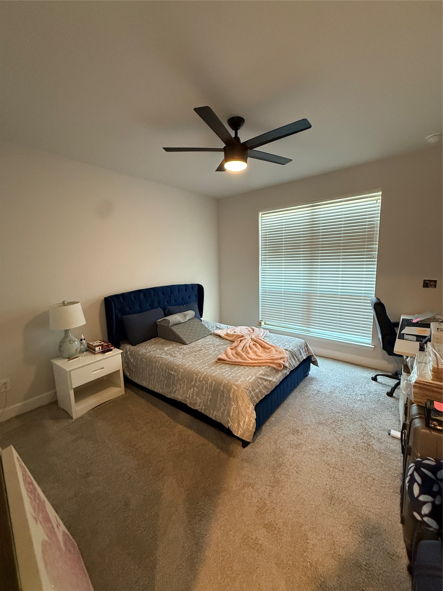 563 Santa Rosa Hls Drive Katy, TX 77493 - Photo 11 of 50 Guest Bedroom (1st floor)