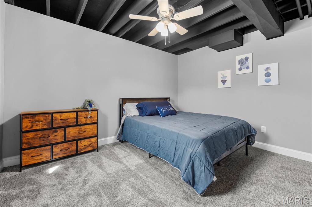 100 Willow Ridge Valmeyer, IL 62295 - Photo 36 of 40 Gallery Image 36
