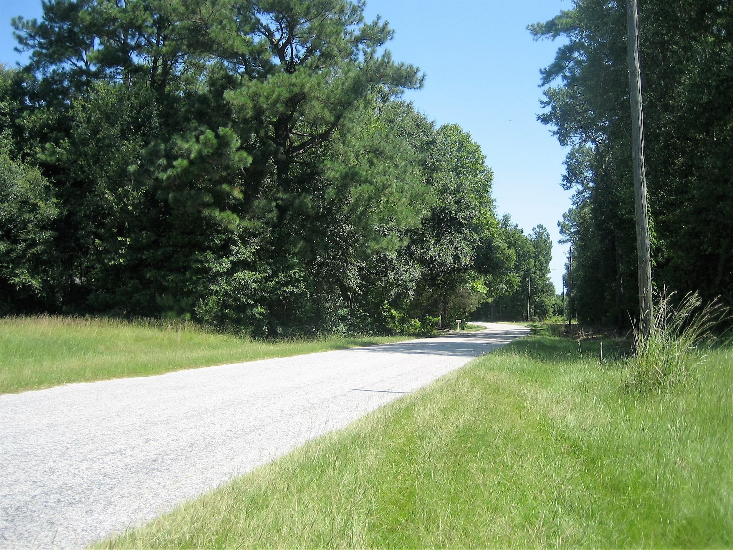 0 Fire Hll Road Walterboro, SC 29488 - Photo 3 of 5 FIRE HILL ROAD 0-2