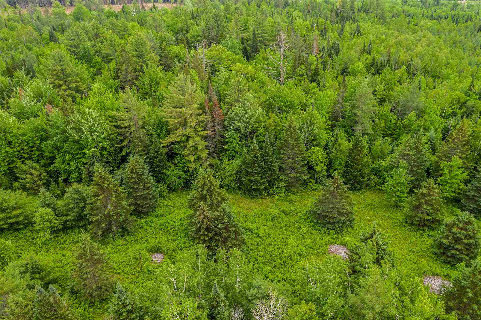 0 Jefferson Road Whitefield, NH 03598 - Photo 6 of 10