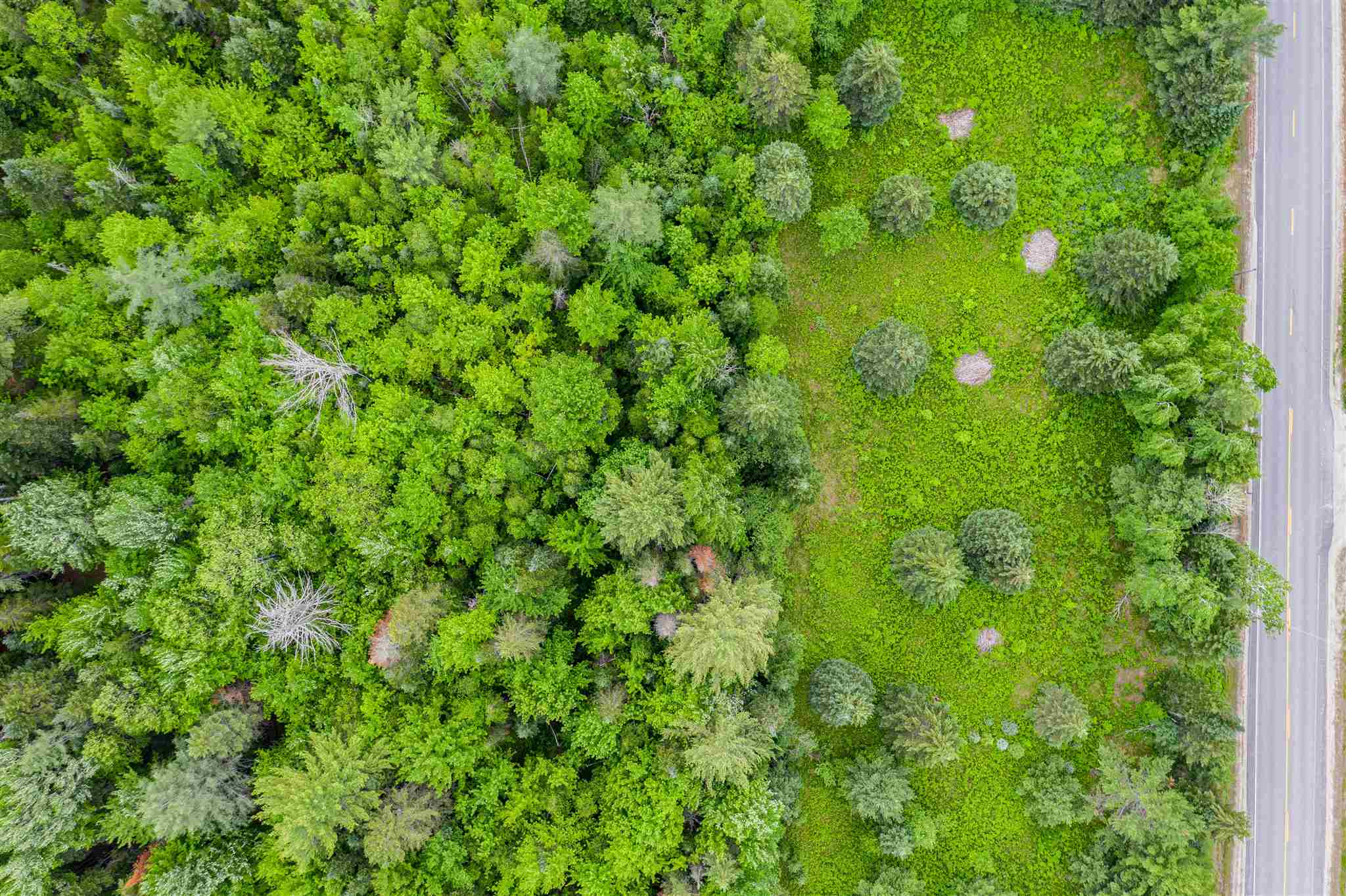 0 Jefferson Road Whitefield, NH 03598 - Photo 7 of 10