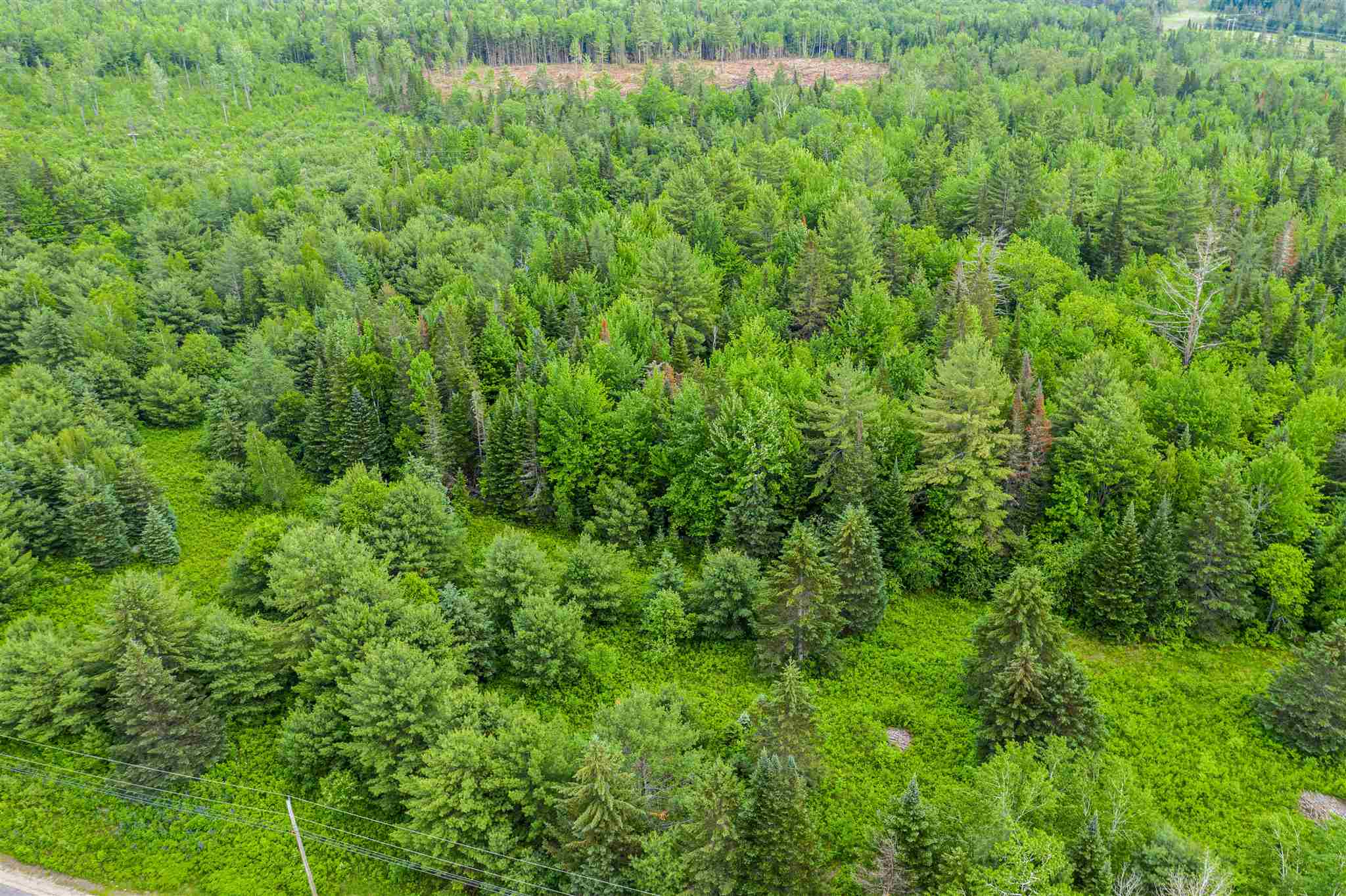 0 Jefferson Road Whitefield, NH 03598 - Photo 8 of 10