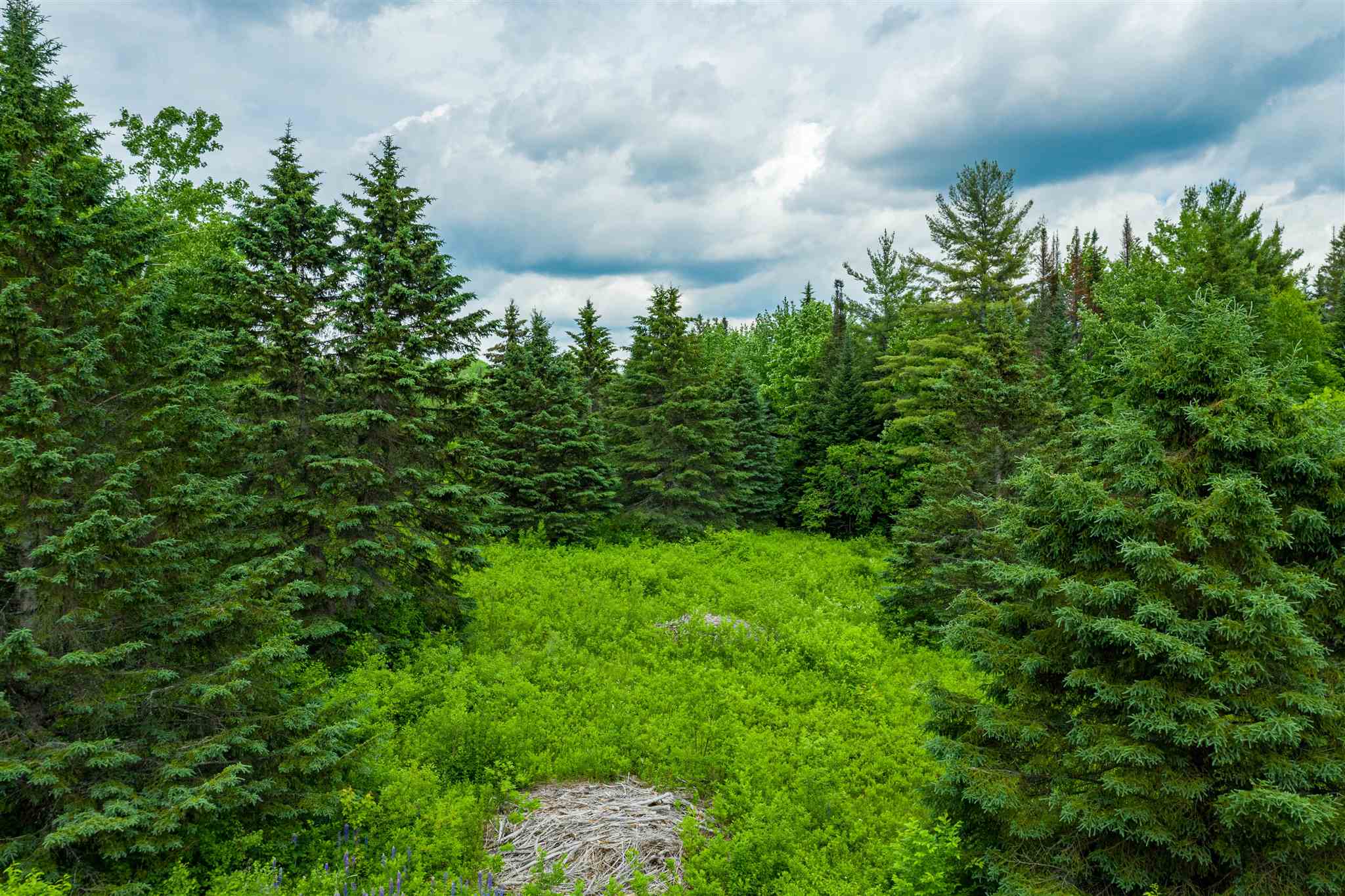 0 Jefferson Road Whitefield, NH 03598 - Photo 9 of 10