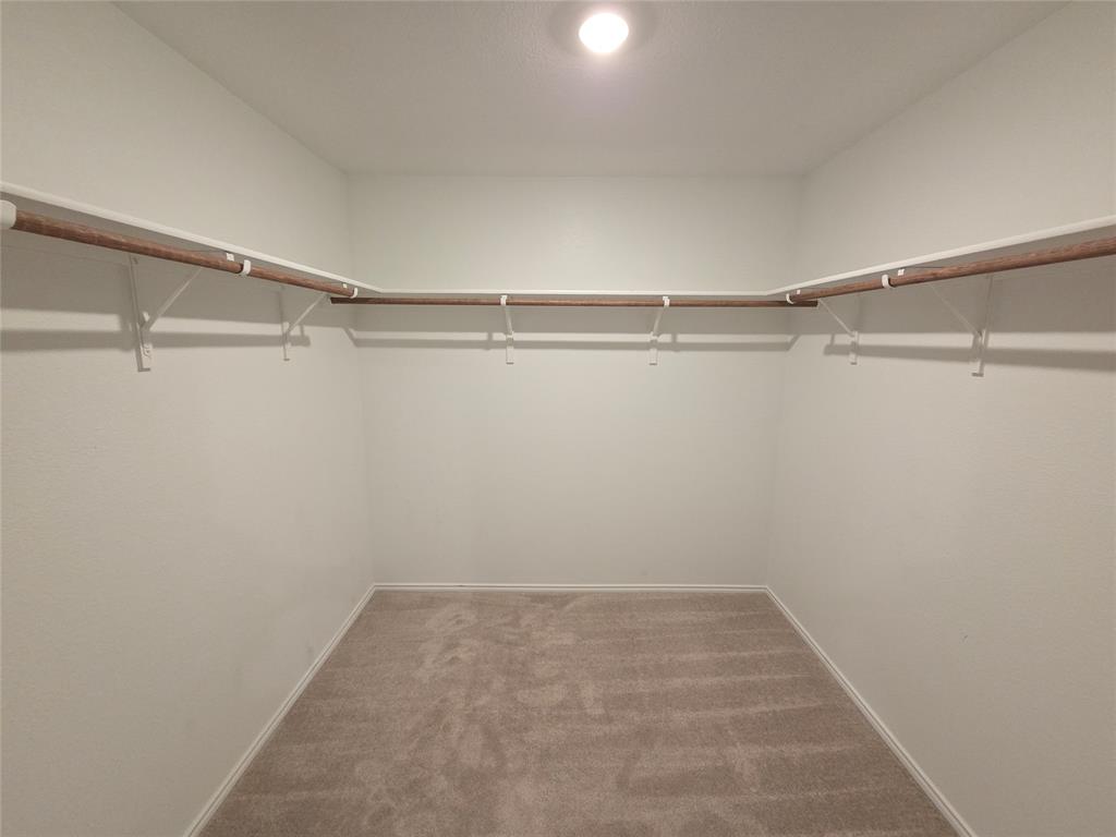 1001 Mountain Laurel Road Princeton, TX 75407 - Photo 10 of 19 Walk-in closet with overhead lighting, carpet flooring, and a wrap-around shelving and hanging rod system