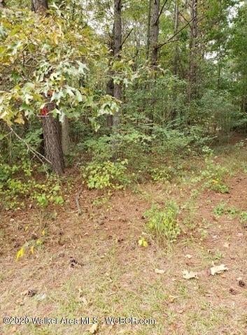 12 Arrowhead Road Jasper, AL 35503 - Photo 15 of 16 Gallery Image 15