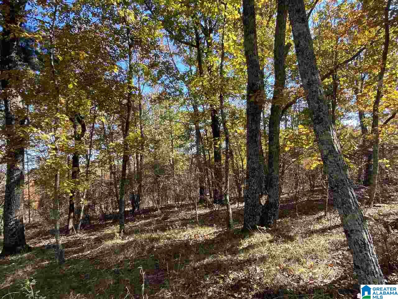 3752 County Road 331 Chelsea, AL 35043 - Photo 4 of 10