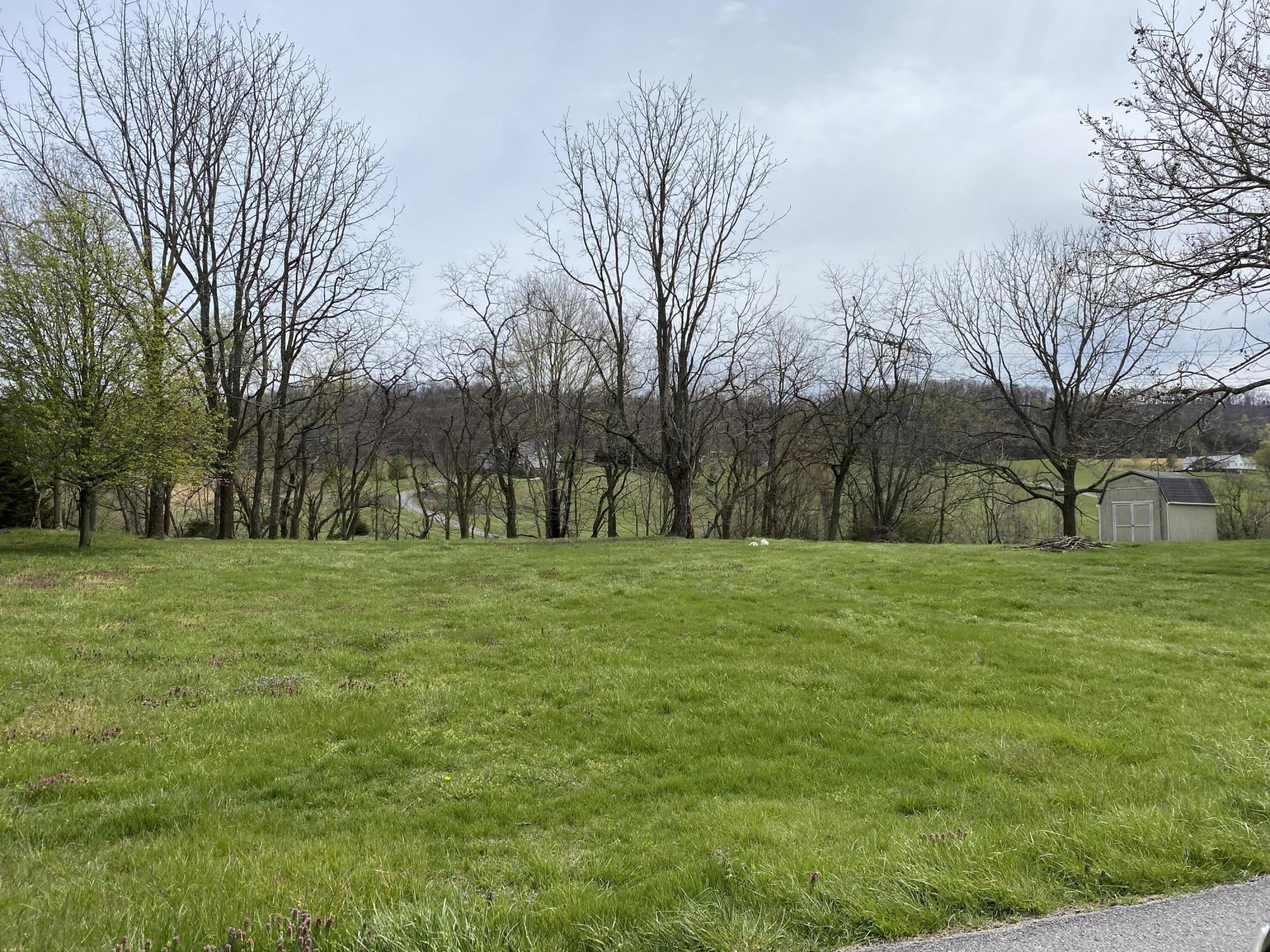 538 Buckingham Road Johnson City, TN 37615 - Photo 1 of 1 IMG_4176