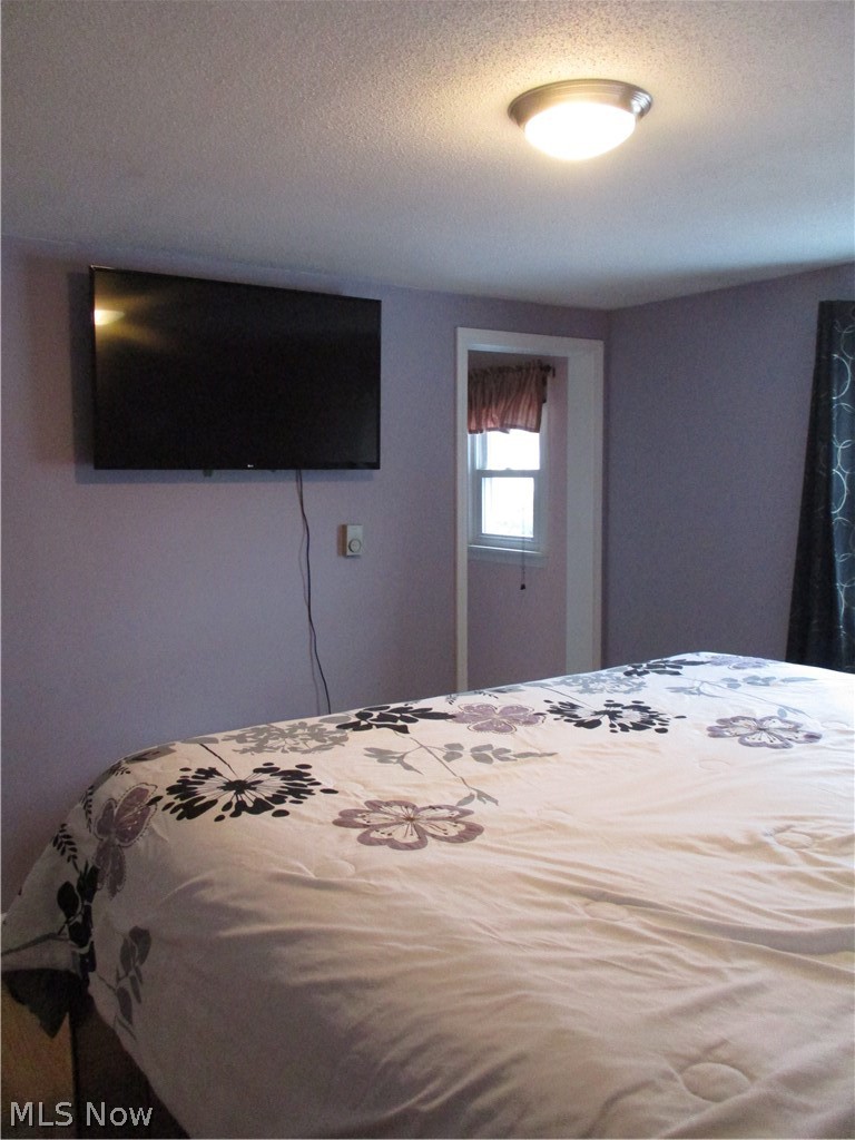 7138 Reed Road Conneaut, OH 44030 - Photo 18 of 35 Gallery Image 18