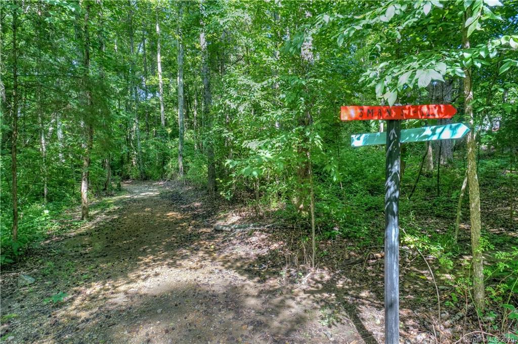13314 Pierre Reverdy Drive Davidson, NC 28036 - Photo 41 of 44 Gallery Image 41