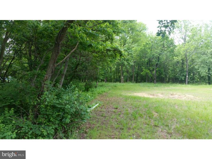 20 Hartford Road Delran, NJ 08075 - Photo 4 of 4