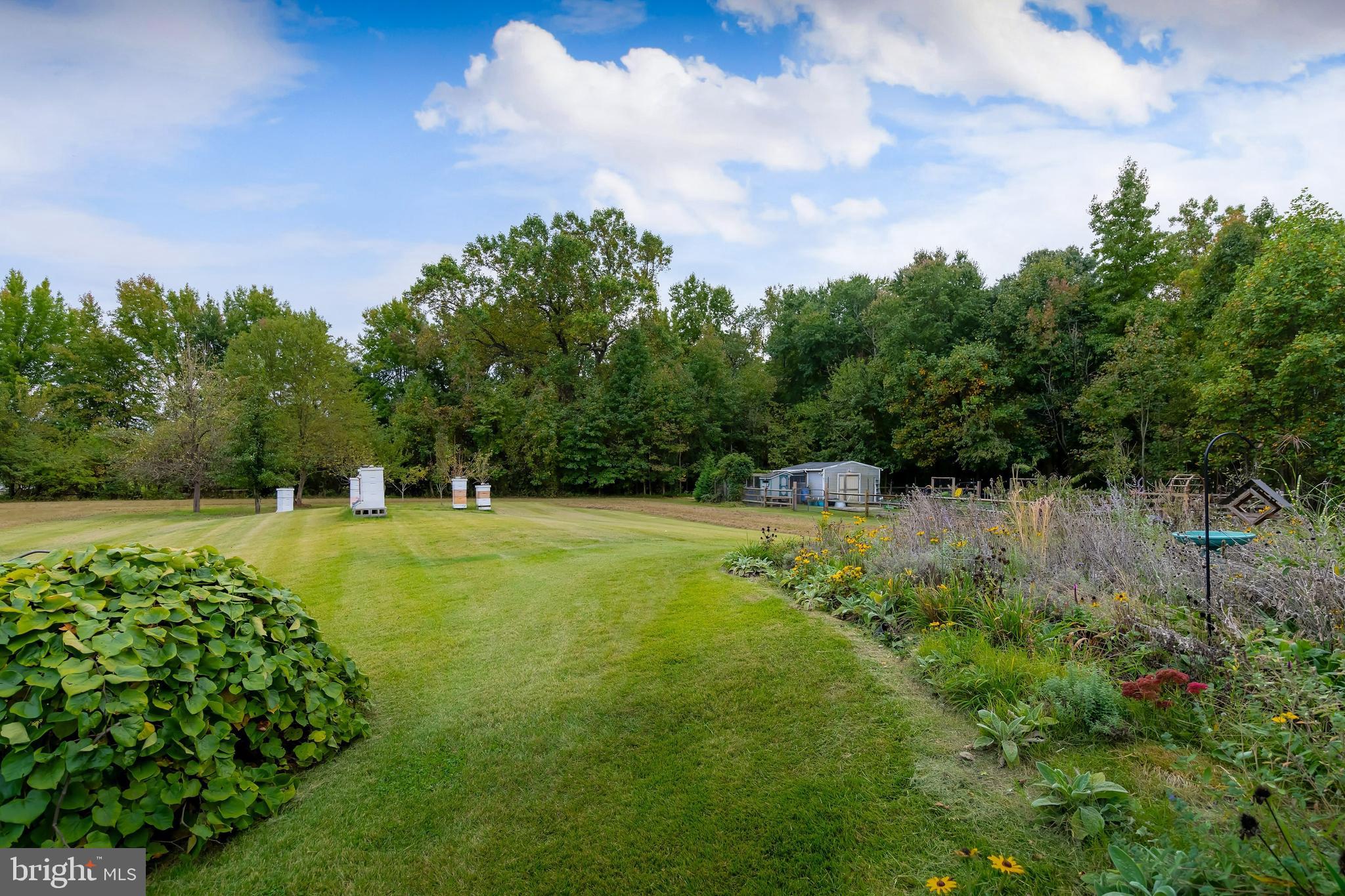 141 West Tomlin Station Road Mickleton, NJ 08056 - Photo 24 of 33 a view of a garden