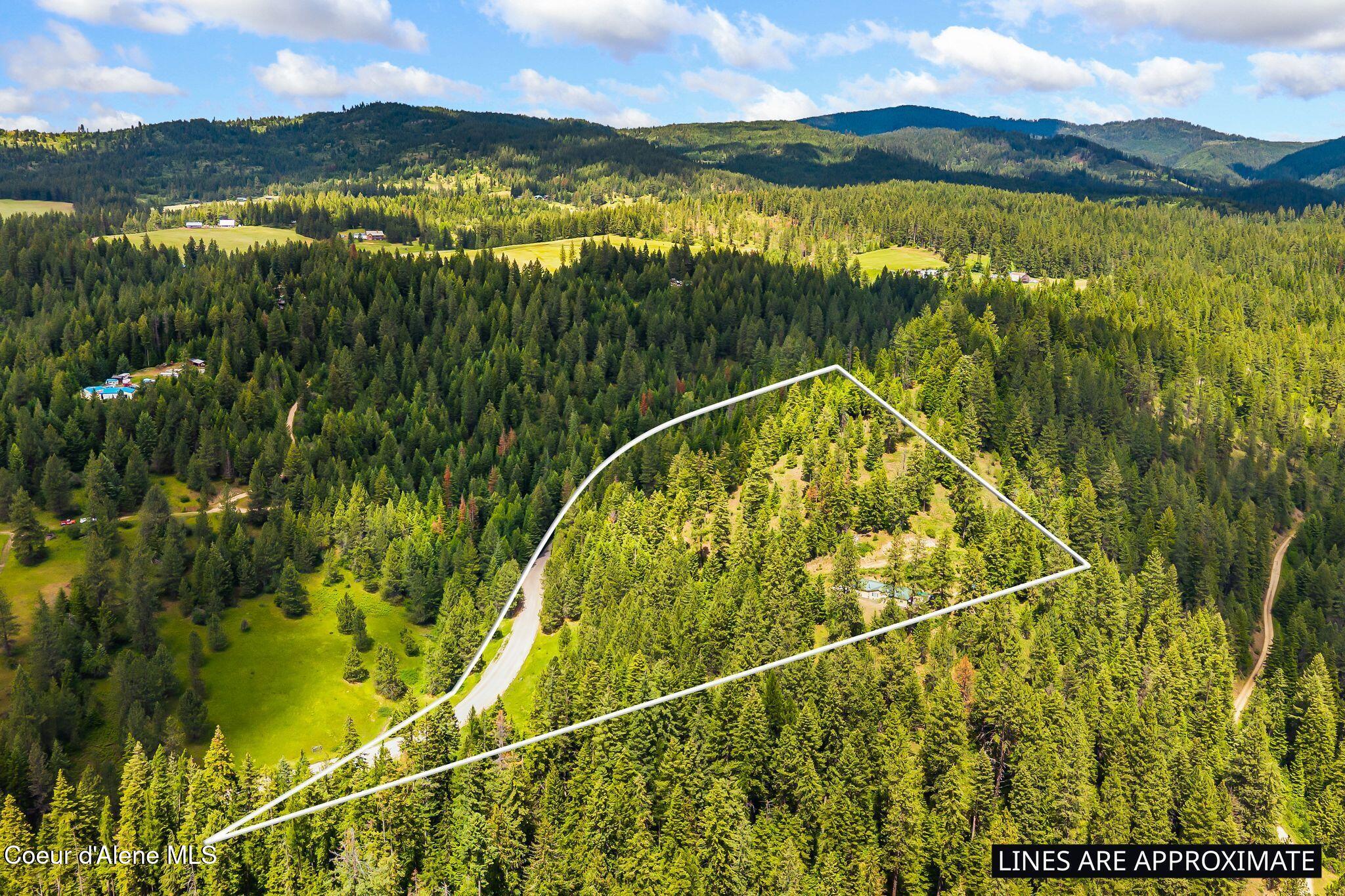 4304 South Elk Road Harrison, ID 83833 - Photo 2 of 39 42_DJI_20260604134315_0272_D plotline