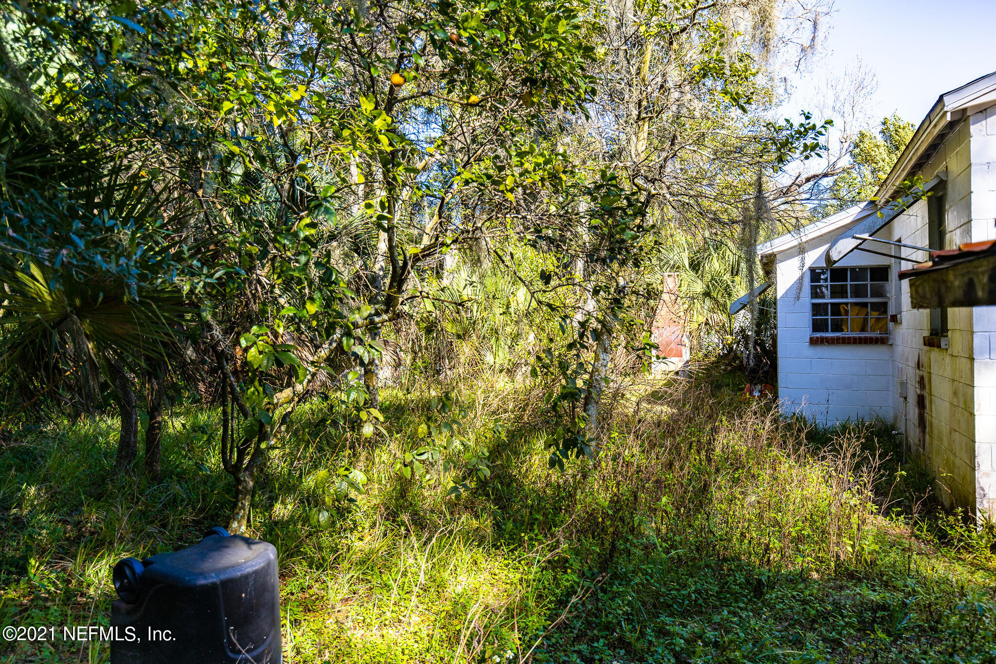 226 Jackson Road Jacksonville, FL 32225 - Photo 10 of 10 IMG_0530