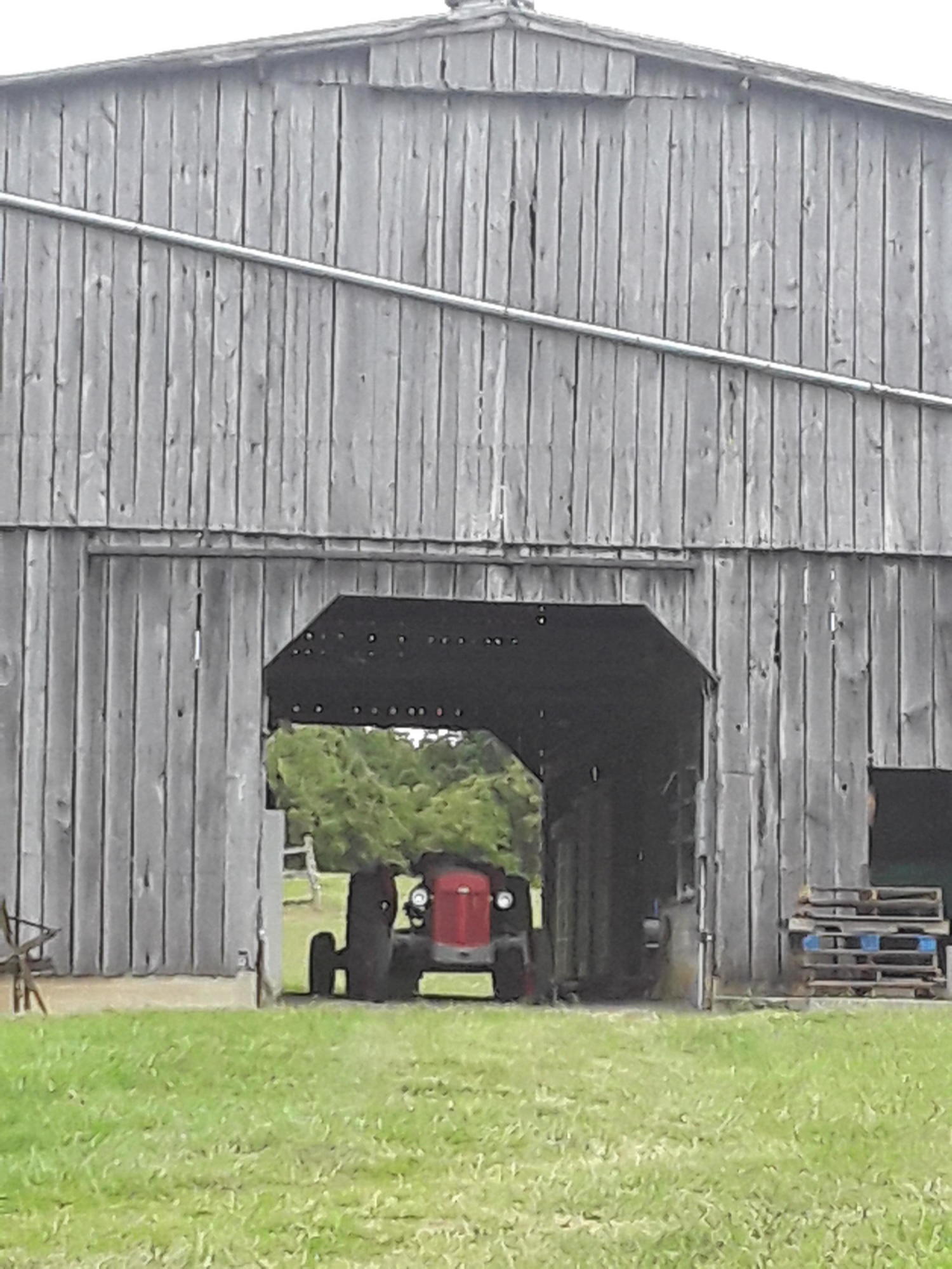 3084 Old Kentucky Road West Mosheim, TN 37818 - Photo 18 of 42 Barn front