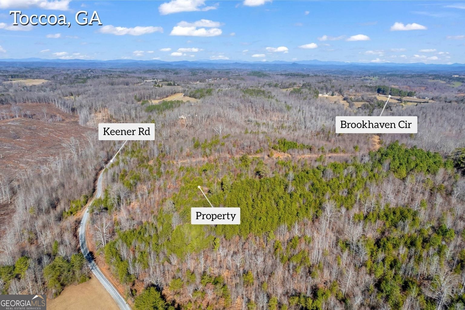 485 Keener Road Toccoa, GA 30577 - Photo 1 of 1