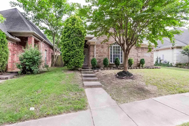 a view of a yard with plants and trees