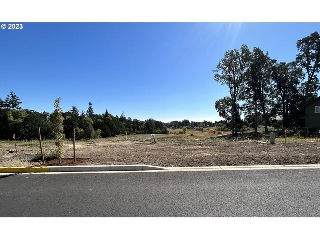 a view of a road with sunset view