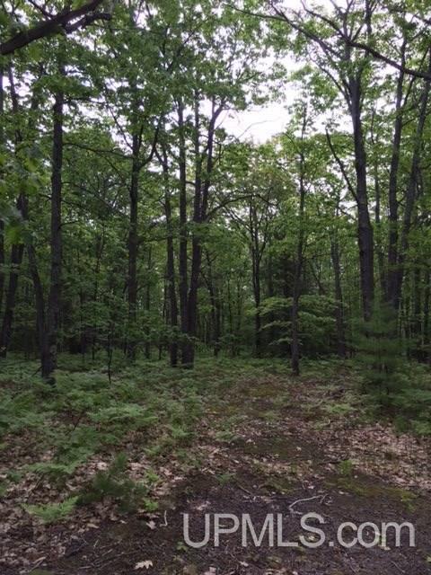 8508 Co Road, Unit PARCEL B Big Bay, MI 49808 - Photo 4 of 5