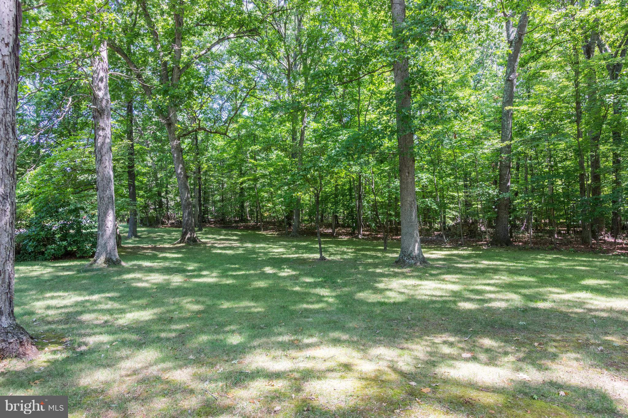 469 Cropp Road Fredericksburg, VA 22406 - Photo 30 of 30 Huge side yard