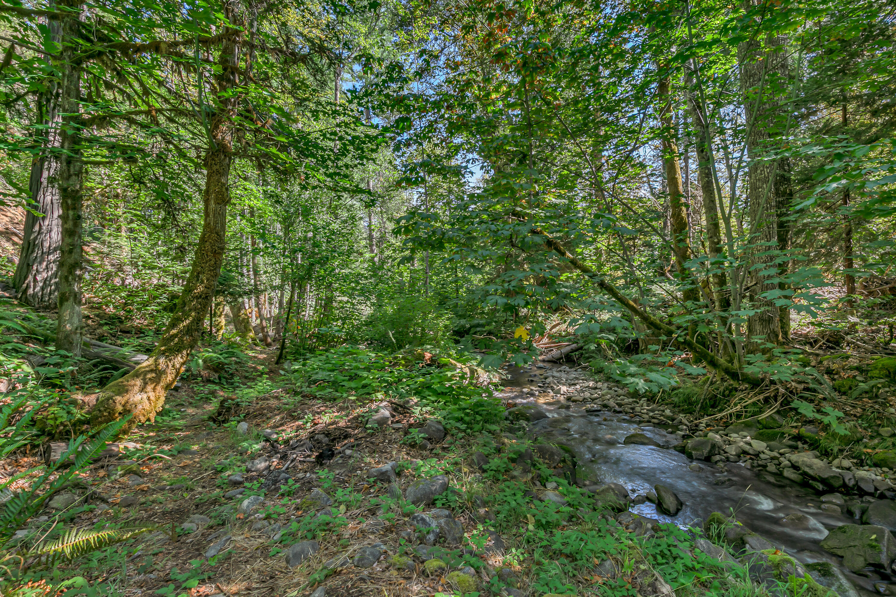 3496 East Fork Road Williams, OR 97544 - Photo 38 of 97 creek