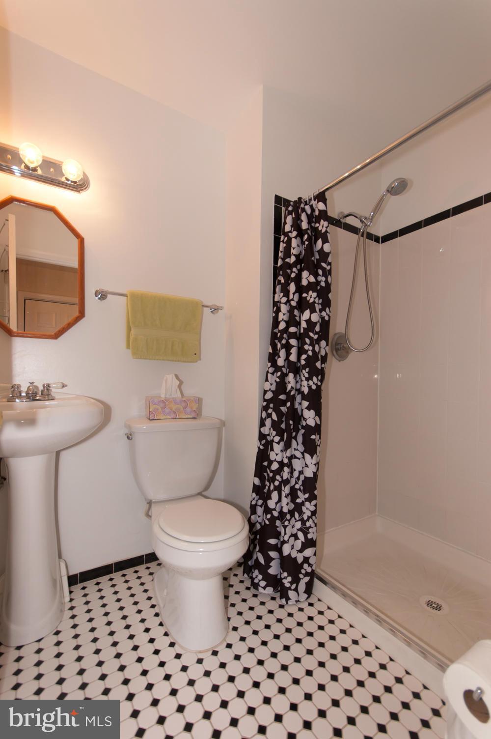 18816 Bloomfield Road Olney, MD 20832 - Photo 15 of 29 Bath (Master)