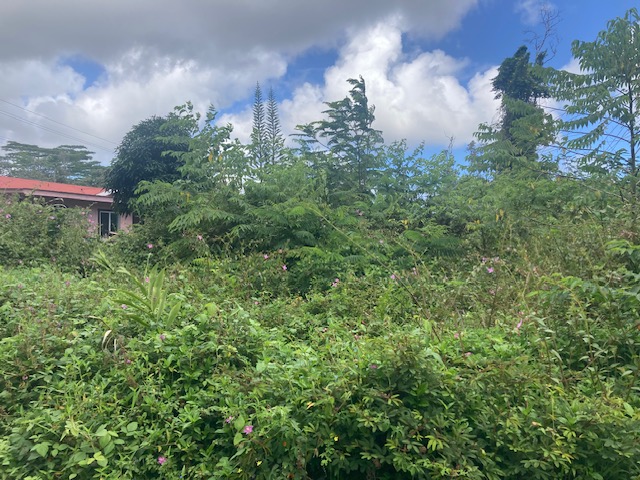 14-3479 Lot 931 Shell Road Pahoa, HI 96778 - Photo 3 of 4