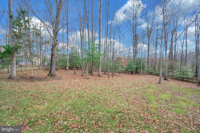 a large white house with a large yard and large trees