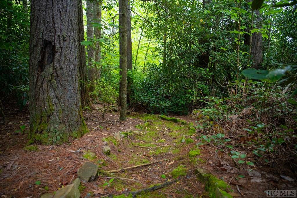 35 Hemlock Ridge Highlands, NC 28741 - Photo 42 of 48 Gallery Image 42