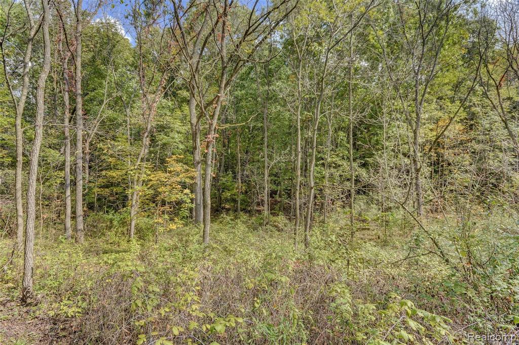 13923 Sheridan Road Manchester, MI 48158 - Photo 48 of 60