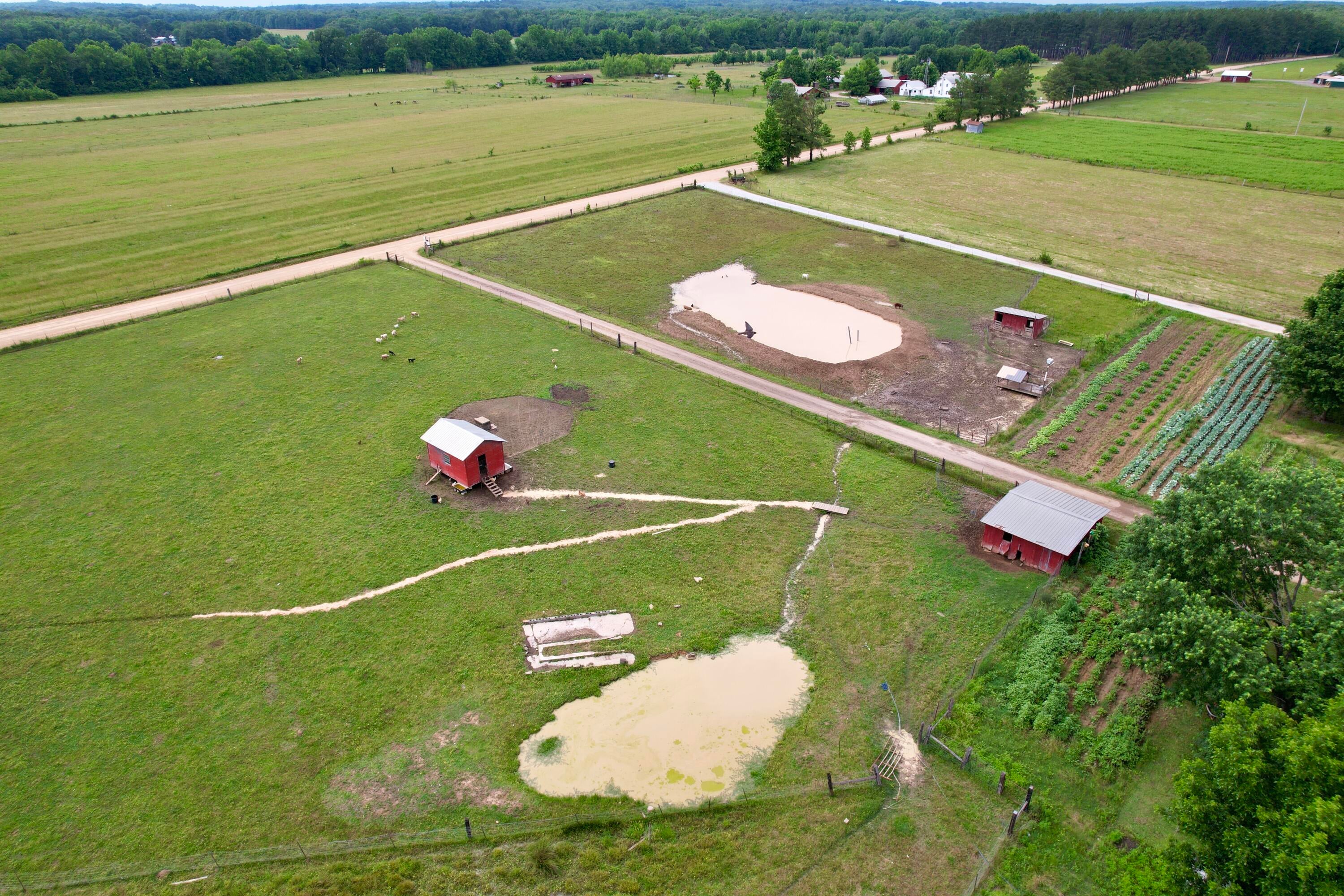 4547 Salmon Road Pontotoc, MS 38863 - Photo 56 of 61 image00006