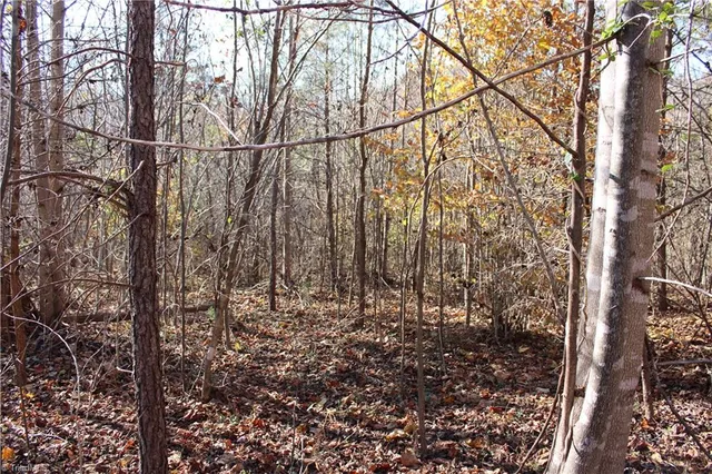 $323,000 | 1662 Ralph Joyce Road, Sandy Ridge, NC 27046