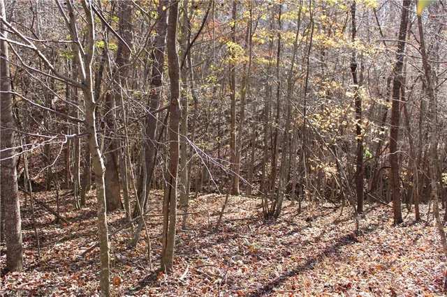 $323,000 | 1662 Ralph Joyce Road, Sandy Ridge, NC 27046