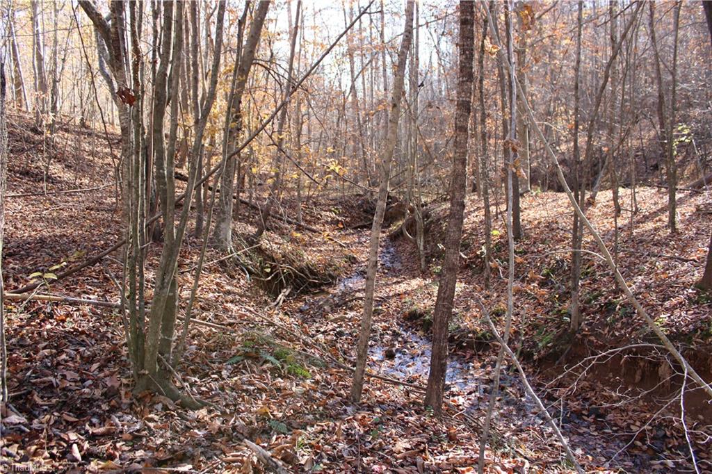 1662 Ralph Joyce Road Sandy Ridge, NC 27046 - Photo 32 of 36